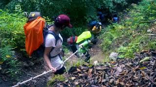 Kojur Sisangan Forest, Kojor, Kojoor, trekking, Mazandaran province, Iran, مسیر جنگل کجور سیسنگان