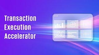 KPMG Transaction Execution Accelerator