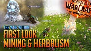 Herbalism & Mining First Look - The War Within Beta