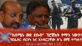 "ከሰሜኑ ወደ ደቡብ" ፕሮጀክት የማን ነው?፣ ፕሮፌሰር ብርሃኑ እና አንዳርጋቸው ጽጌ መቼ ተጣሉ?