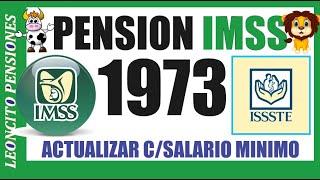 736-PENSIÒN IMSS LEY 1973!!!  #pension #adultosmayores #ayudasocial #pagos #méxico