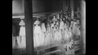 Wellington's Milk Supply (1947)