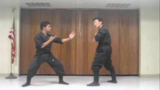 Nintaijutsu Close Quarter Combat (opening attack series)