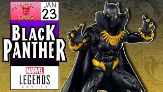 Marvel Legends BLACK PANTHER Review (Void BAF Wave)