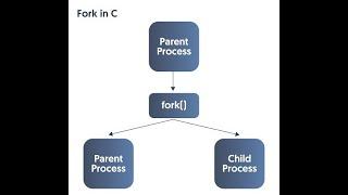 fork () system call