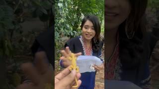 Magic Prank  Lamha Funny #prank #funny #magic