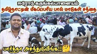 ஈரோடு கருங்கல்பாளையம் மாட்டுச்சந்தை / the biggest cow market in tamilnadu