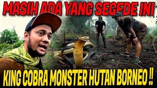 FULL EPISODE BONTANG MENCARI KEBERADAAN KING COBRA MONSTER HUTAN BORNEO !!