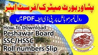 How To Download BISE Peshawar Board Roll Number Slip in Mobile As PDF