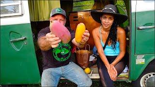 Sampling Exotic Fruit On An Avocado Farm