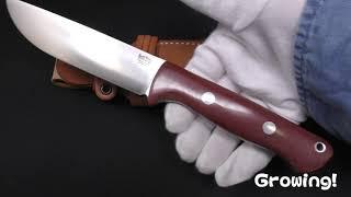 BARK RIVER KNIVES【バークリバー・ナイブス】■ 「ブラボー1.25」【LT】 【CPM-3V】【ランプレス】【レッド マイカルタ】BRAVO