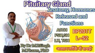 Pituitary Gland | Structure, Hormones & Functions | Human Anatomy Physiology-II | BP201T | L~52