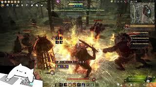 BDO Awak Guardian 294 AP Elvia orcs Yellow ls16.6k Rot 11 Extended / No agris / 2 Weapons/No Orgs