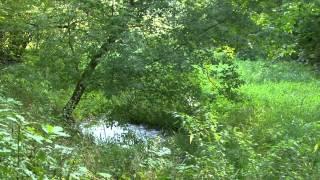 Naturschätze in Potsdam-Mittelmark - Das Bäketal