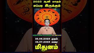 Mithunam Rasi Aani Month Palangal In Tamil 2023