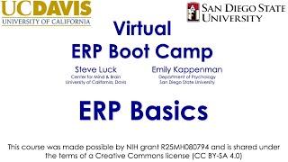 ERP Basics 6-  Common Conventions in ERP Research