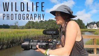 Coastal Carolina Wildlife Photography with the Nikon Z6 and 70-200mm f/2.8 lens