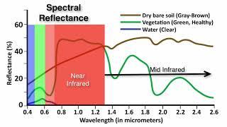 Spectral Reflectance Curves   What is Remote Sensing