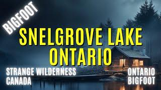 Mysterious Encounters: Unveiling Snelgrove Lake's Bigfoot