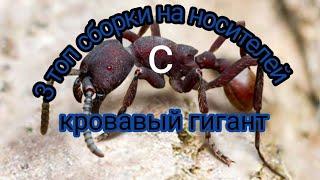 the ants underground kingdom кровавый гигант , 3 топ сборки на носителей с кровавым гигантом