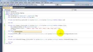 How to Convert Image to Base64 and back to Image in Visual Basic .net 2010