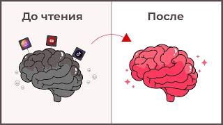 Как чтение книг меняет мозг? (научно)