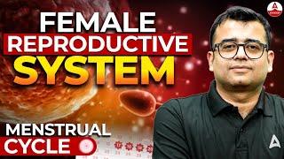 Female Reproductive System | NEET 2025 | Human Reproduction Class 12 | Nomesh Goplani Sir