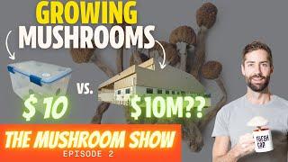 Inside The World's Largest Magic Mushroom Farm:  Is This The Future Of Psilocybin? (TMS EP 2)