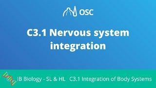 C3.1 Nervous System Integration [IB Biology SL/HL]