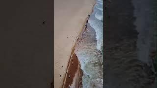 Soaring Over Grand Bend Beach: A Moment of Pure Peace 