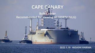 (HDR) CAPE CANARY  ばら積船 東播磨港 2022.1.19