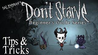 Tips & Tricks (Don't Starve RoG Beginner's Guide)