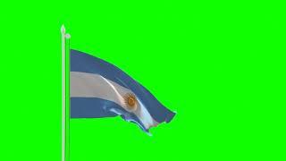 Argentina Flag Green SCREEN Close and Long Shots