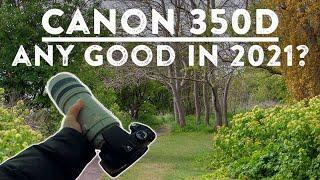Using A Canon 350D/Rebel XT In 2022          - 4K POV