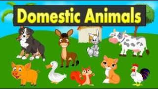 ANIMAL SONG FOR KIDS | Animal Sounds | Kids Song | #animalsounds #kidslearning #nurseryrhymes