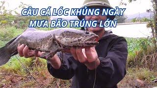 câu cá lóc khủng ngày mưa bão điểm câu cá lóc mới cho ae cần thủ huynhvananfishing