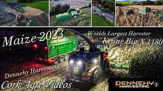 Maize 2023 - Dennehy Harvesting | Worlds Largest harvester Krone Big X 1180