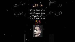 Allama Iqbal Poetry #poetry #youtubeshort #urdupoety #iqbaliat #iqbalpoetry