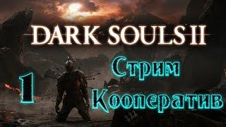 (СТрим) Dark Souls 2 Scholar of the First Sin на русском (кооператив) часть 1