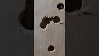 Umarex T4E HDR-50 110 Joules Z-Ram 50s Z-Chambers Steel balls vs 2 inch of tough Plywood