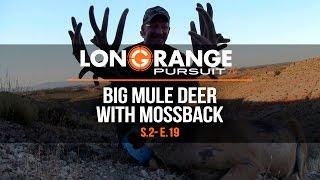 Long Range Pursuit | S2 E19 Big Mule Deer with Mossback