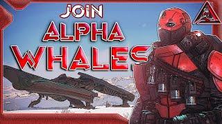 Alpha Whales | Official Recruitment Trailer | Star Citizen