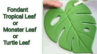 Fondant Turtle Leaf Or Tropical Leaf Or Monster Leaf For Jungle Theme Cake By @Sabydelights