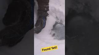 Found a Yeti Under the Ice!