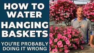 How to WATER Hanging Baskets - You're Probably Doing It WRONG, Learn How to Water Correctly
