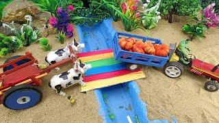 Top most creative diy farming Science project Farm Diorama Bullock cart