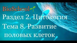 ЕГЭ ПО БИОЛОГИИ. РАЗДЕЛ 2: ЦИТОЛОГИЯ. ТЕМА 8: РАЗВИТИЕ ПОЛОВЫХ КЛЕТОК