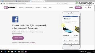 How to sync product from WooCommerce to Facebook 2017