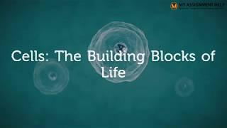 Cells: The Building Blocks of Life