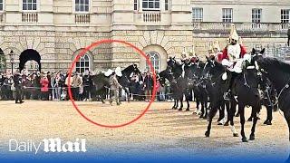 Another spooked Household Cavalry horse throws rider during military parade in London